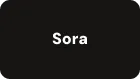 Sora